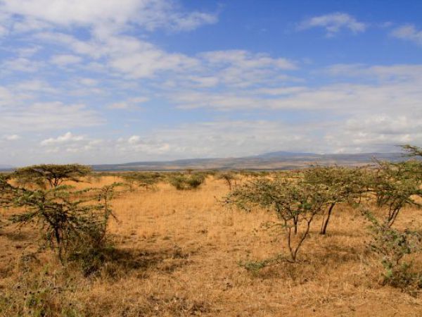 (Photo:) w drodze do Masai Mara