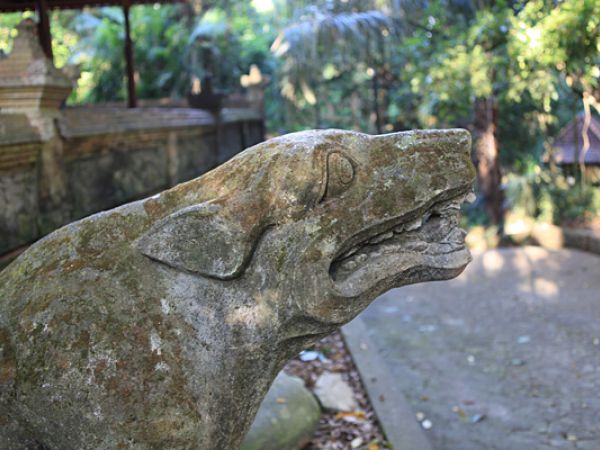 (Photo:) Forest Monkey Sanctuary-Małpi Gaj