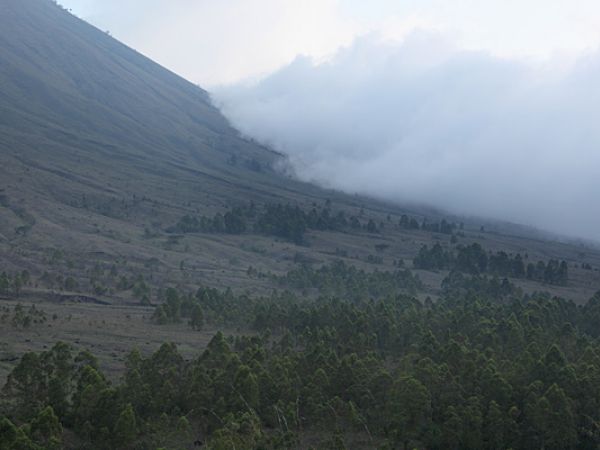 (Photo:) osnuty mgłą wulkan
