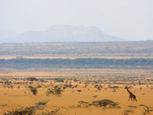 (Photo:) w drodze do Masai Mara
