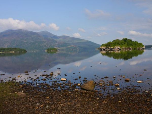 (Photo:) Park w Muckross House