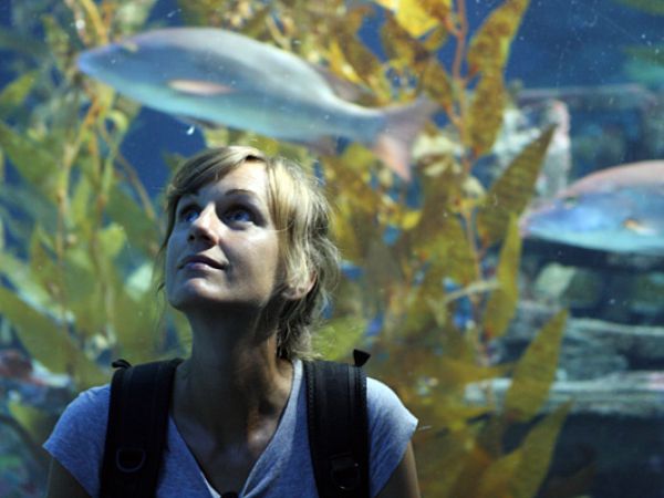 (Photo:) w oceanarium