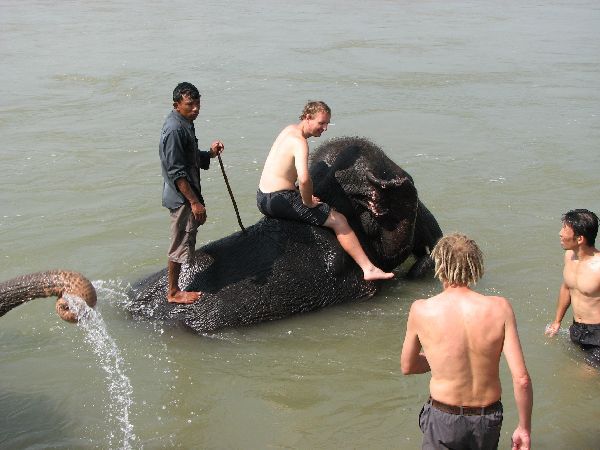 (Photo:) kąpiel ze słoniem