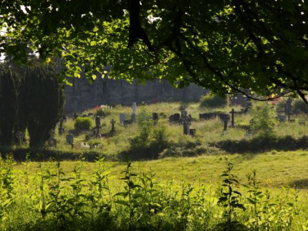 (Photo:) Park w Muckross House